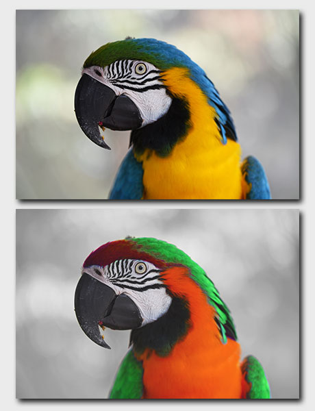 task-hue saturation change